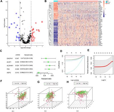 Amino acid metabolism genes associated with immunotherapy responses and clinical prognosis of colorectal cancer